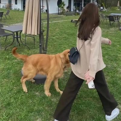 爱，来的刚好